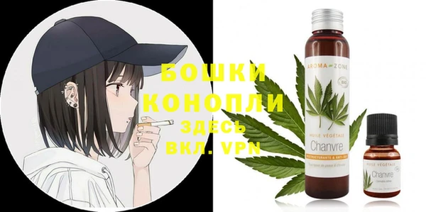 индика Навашино
