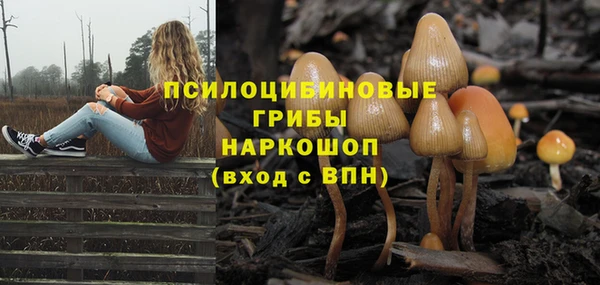 соль ск Михайловка