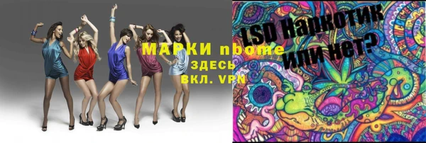 индика Навашино