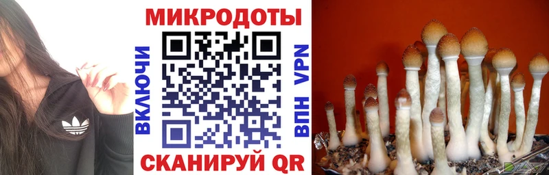 Купить где  Енисейск  Псилоцибиновые грибы Cubensis 
